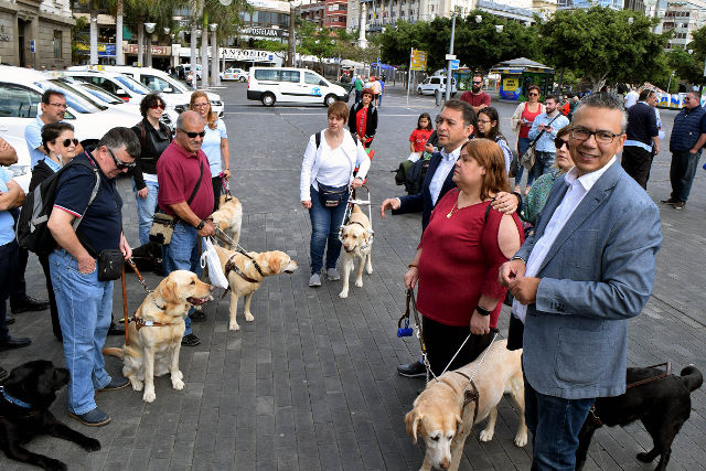 Recht auf Nutzung eines Blindenhundes in öffentlichen Verkehrsmitteln
