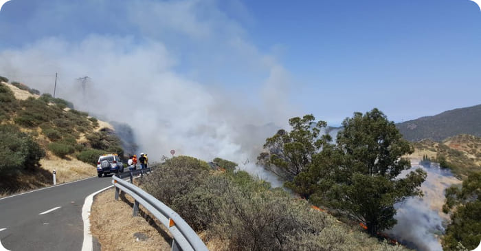 Waldbrand auf den Gipfeln Gran Canarias