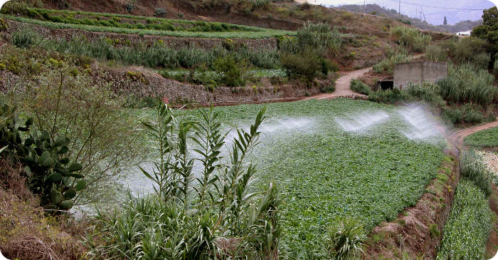 Bewässerung landwirtschaftlicher Flächen
