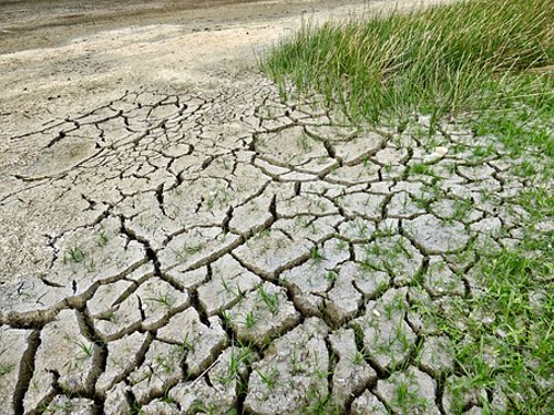 Maßnahmen aufgrund der zunehmenden Dürre