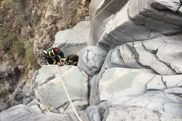 Von der Feuerwehr aus den Felsen befreit