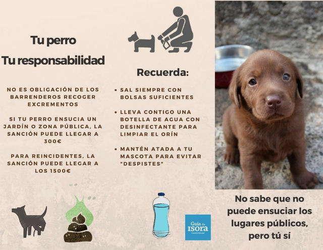 Kampagne gegen Hundekot in der Gemeinde Guía de Isora