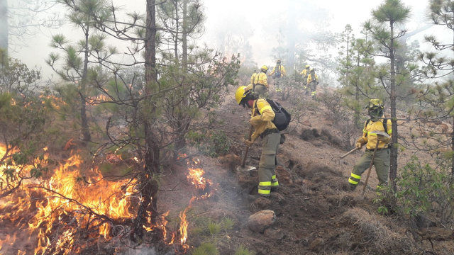 Waldbrand in der Gemeinde Granadilla im April 2018