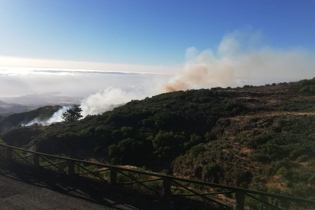 Brand auf Gran Canaria unter Kontrolle