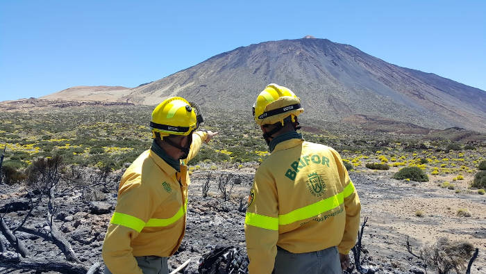 Brandschäden am Teide