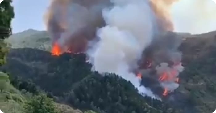 Feuer auf Gran Canaria