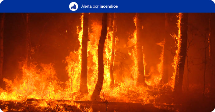 Waldbrand-Risikoalarm Kanarische Inseln