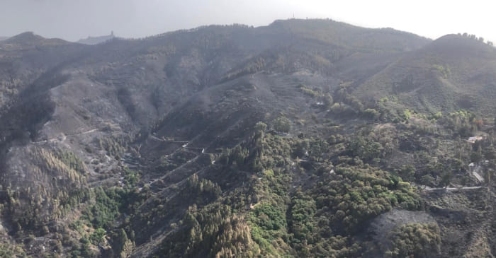 Waldbrand in Valleseco unter Kontrolle