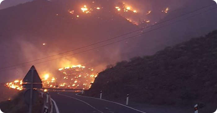 Feuer im Westen Gran Canarias