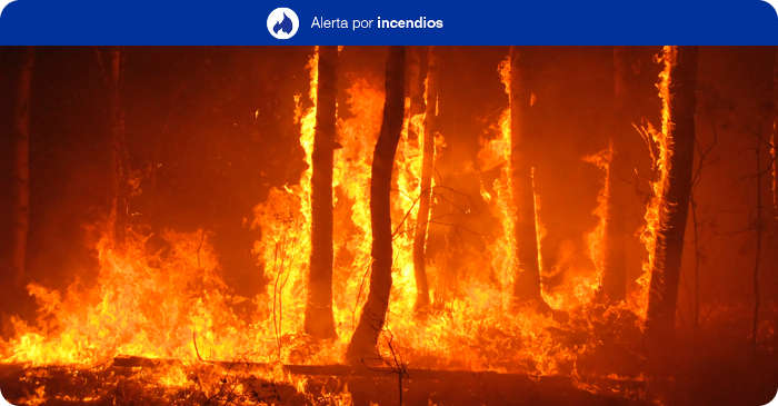 Waldbrandwarnung Gran Canaria