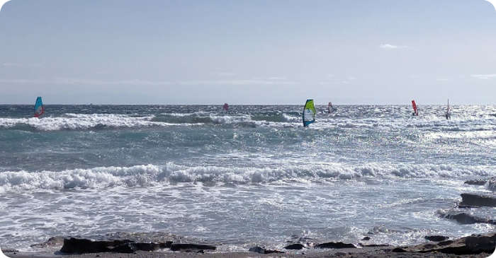 Surfer Teneriffa
